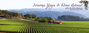 Sonoma Yoga Retreat