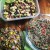 Summer Salad Recipes - Vegan & Gluten Free